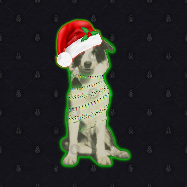 Australian Shepherd Christmas by ZenCloak